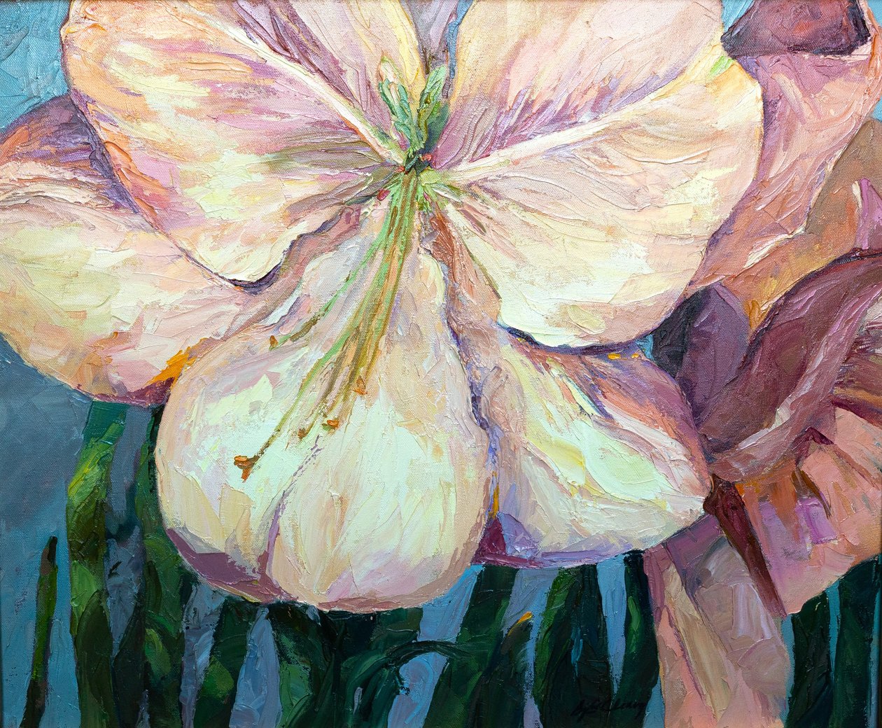 Amaryllis 1, 2004 von Barbara Cleary