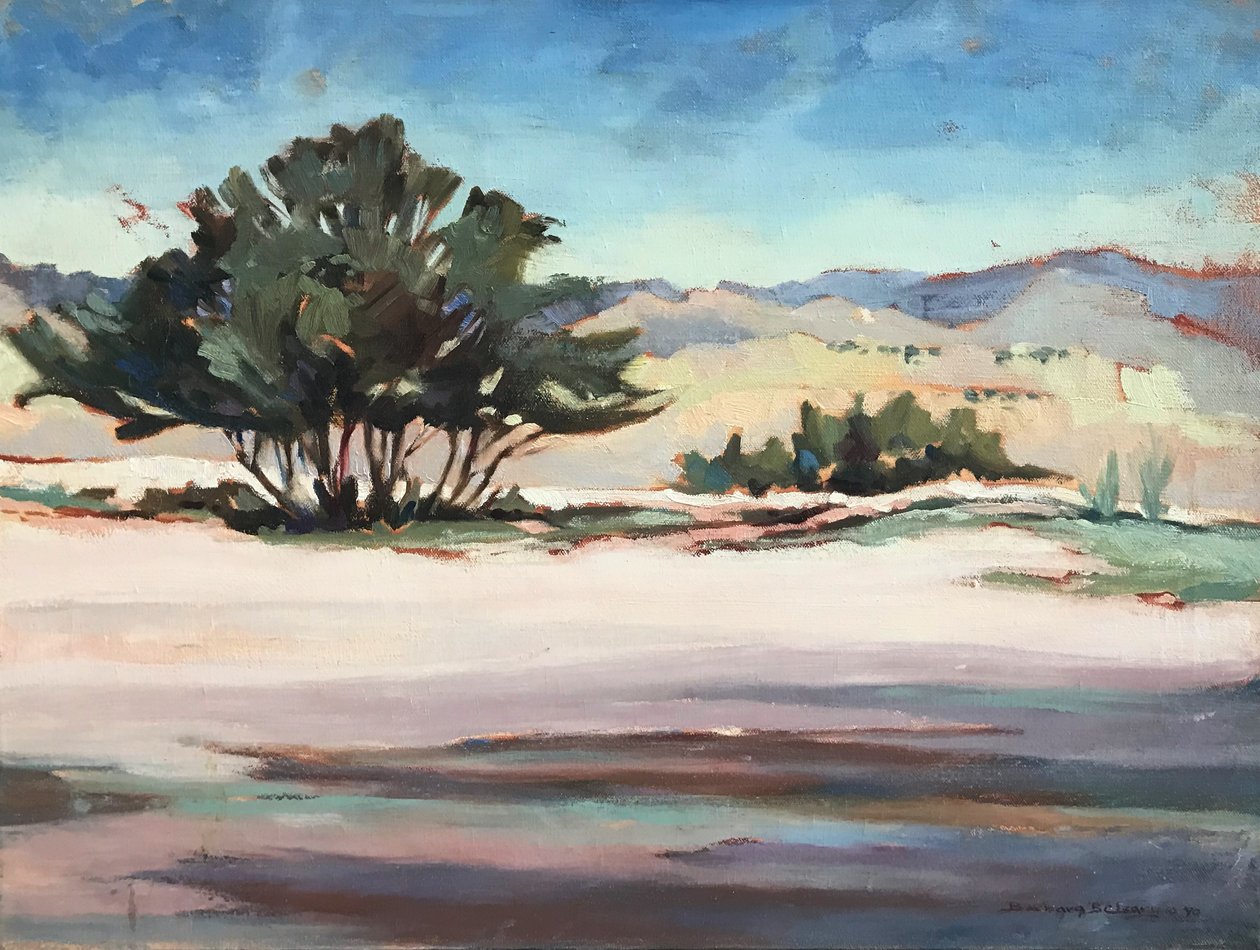 Georgias Aussicht von Barbara Cleary