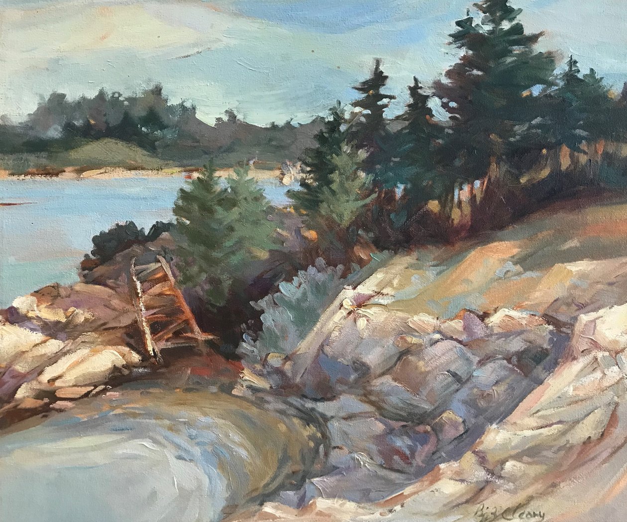 Maine Klippen von Barbara Cleary