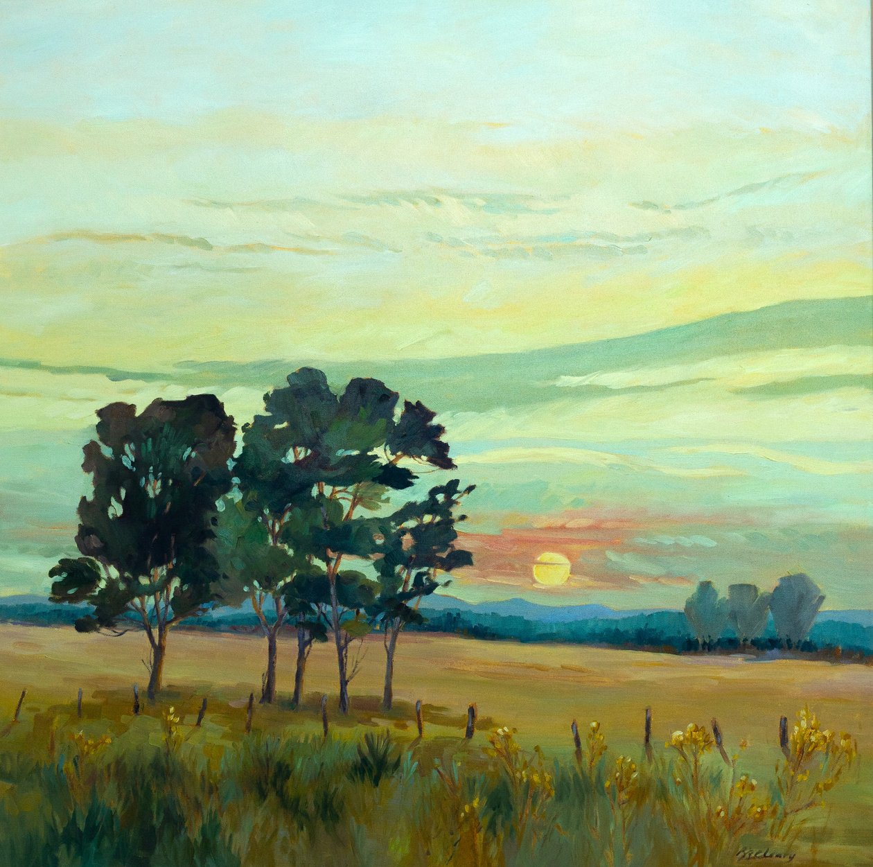 Sonnenaufgang, 2007 von Barbara Cleary