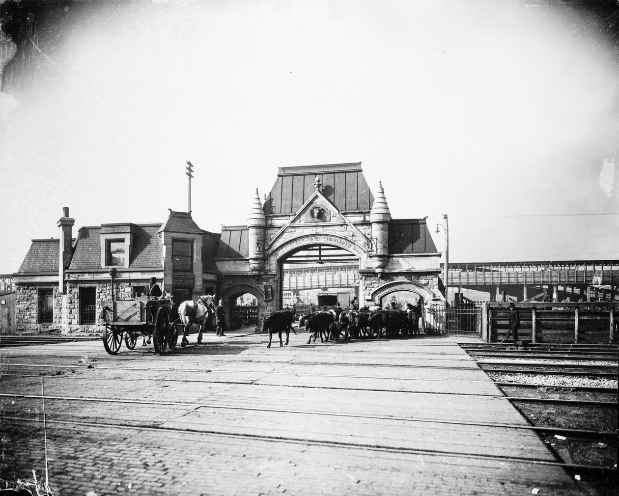 Union Stock Yards Tor an der Exchange Avenue, Chicago, Illinois, USA, ca. 1905 (s/w Foto) von Barnes and Crosby