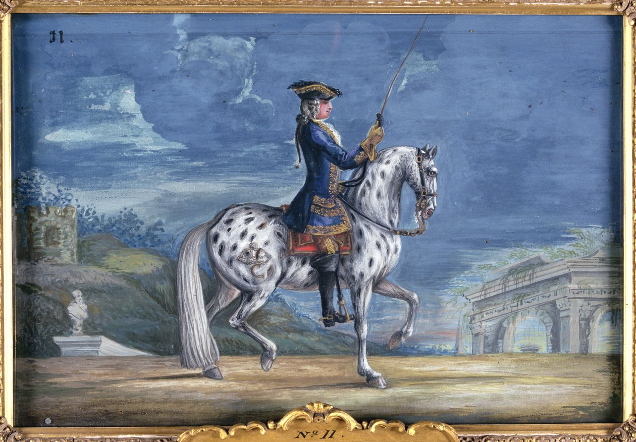 Nr. 11 Ein Appaloosa-Pferd der Spanischen Hofreitschule, aus dem kaiserlichen Gestüt in Böhmen von Baron Reis Eisenberg
