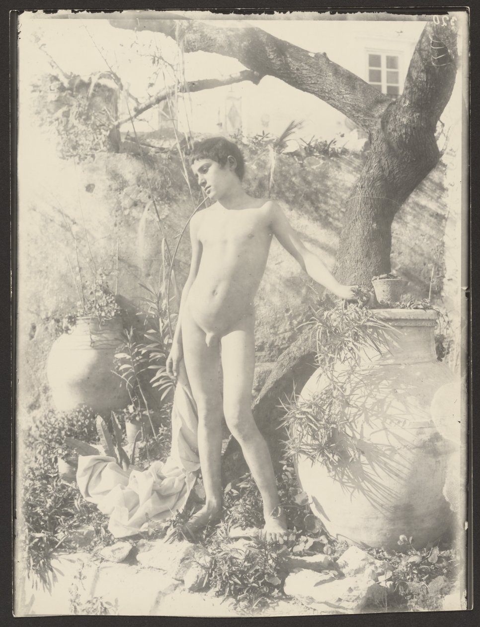 Nackter Jüngling im Garten von Baron Wilhelm von Gloeden