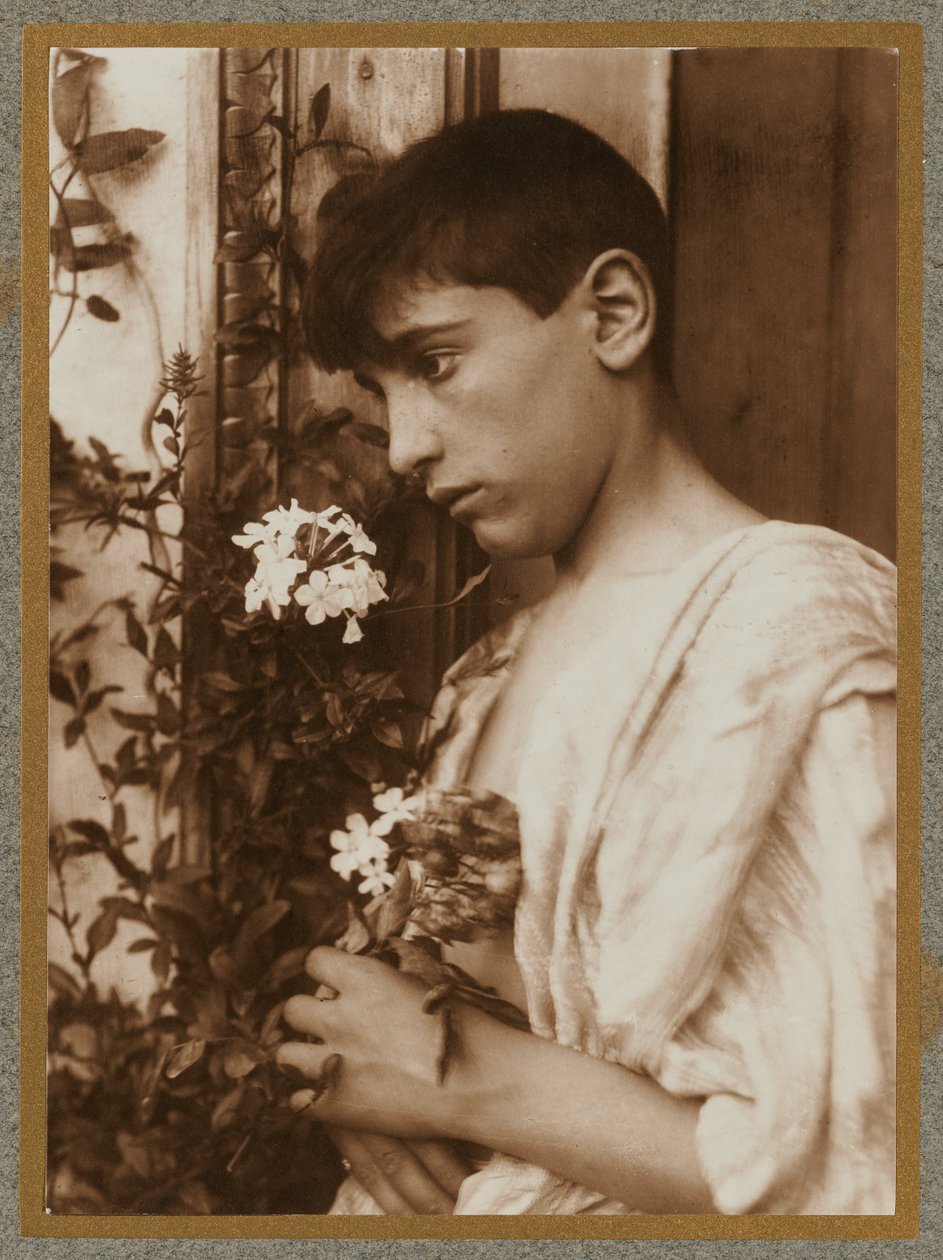 Sizilianischer Junge von Baron Wilhelm von Gloeden