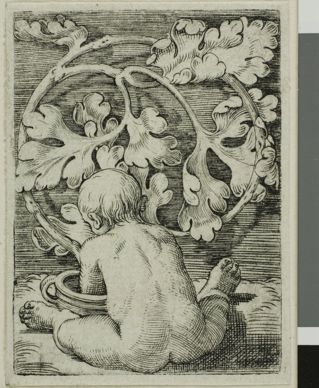 Nacktes Kind, von hinten gesehen, sitzt vor einem Gefäß von Barthel Beham