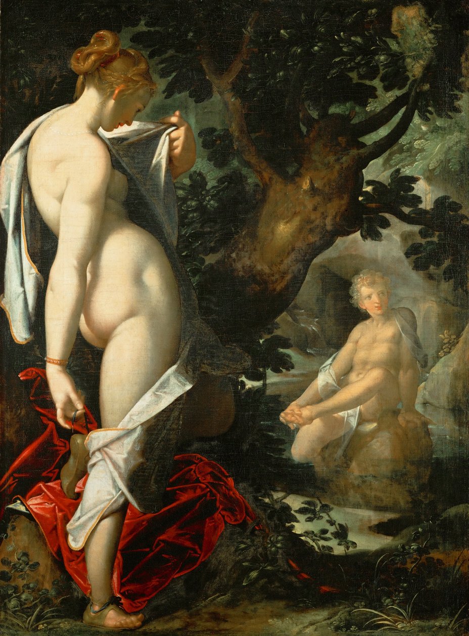 Hermaphroditus und die Nymphe Salmacis von Bartholomeus Spranger