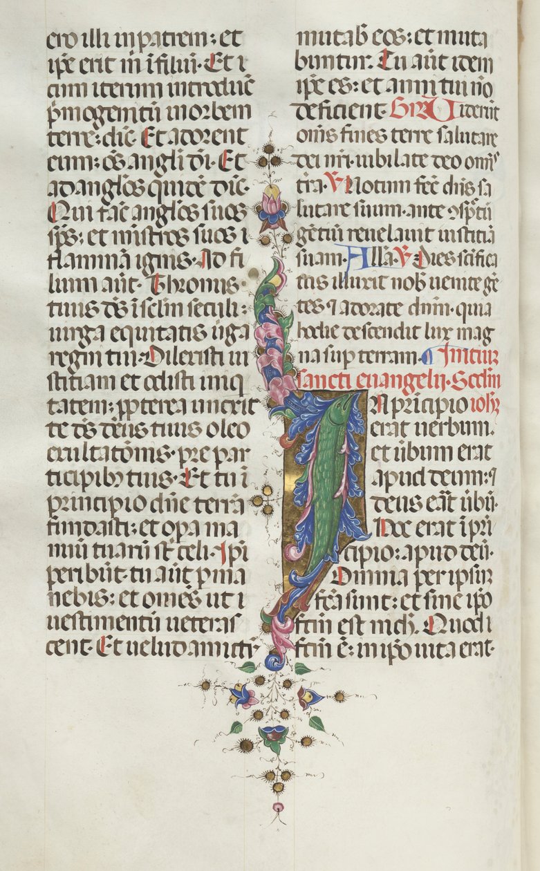 Missale: Fol. 22v: Laubwerk mit Fisch, 1469 von Bartolomeo Caporali