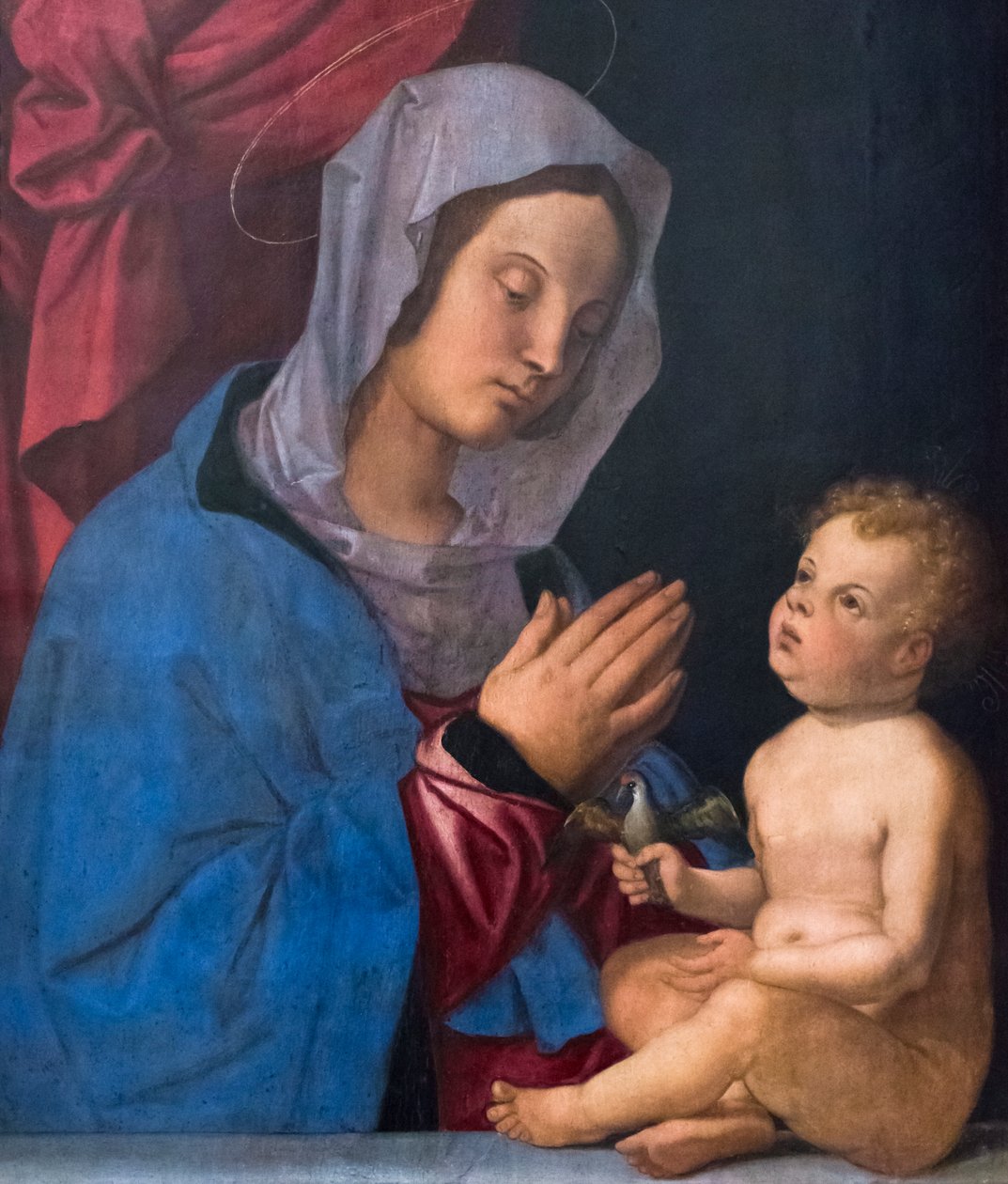 Madonna mit Kind, um 1503 von Bartolomeo Montagna