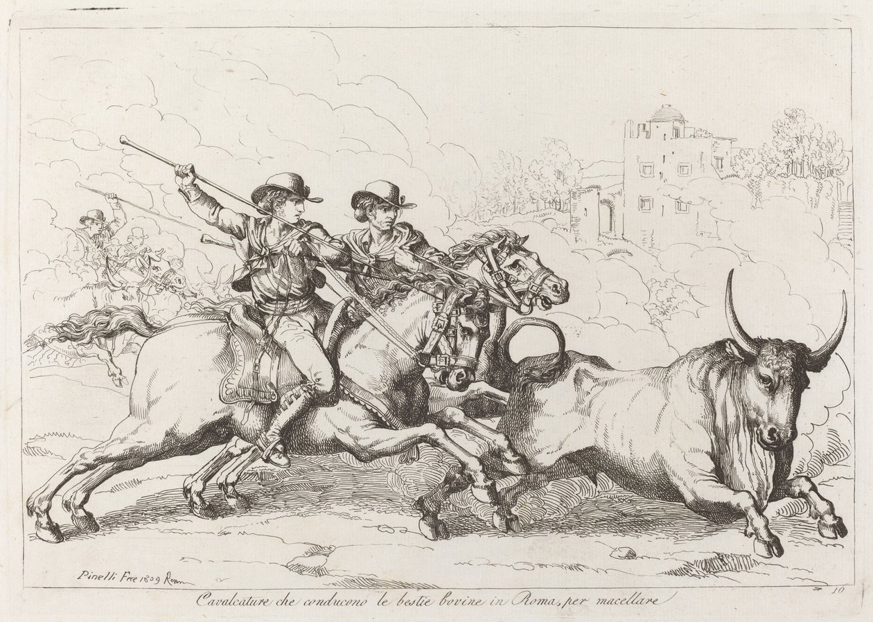 Rinder, die in Rom zum Schlachten getrieben werden (Tafel 16) von Bartolomeo Pinelli