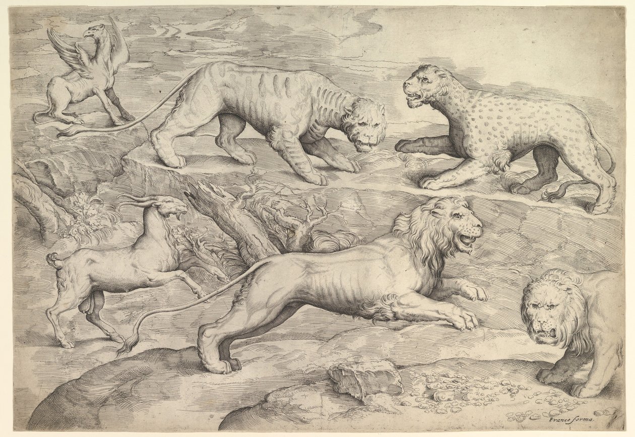 Sechs Tiere, darunter Löwen, ein Tiger, ein Leopard, ein Greif und eine Ziege, ca. 1530-61 von Battista Franco Veneziano