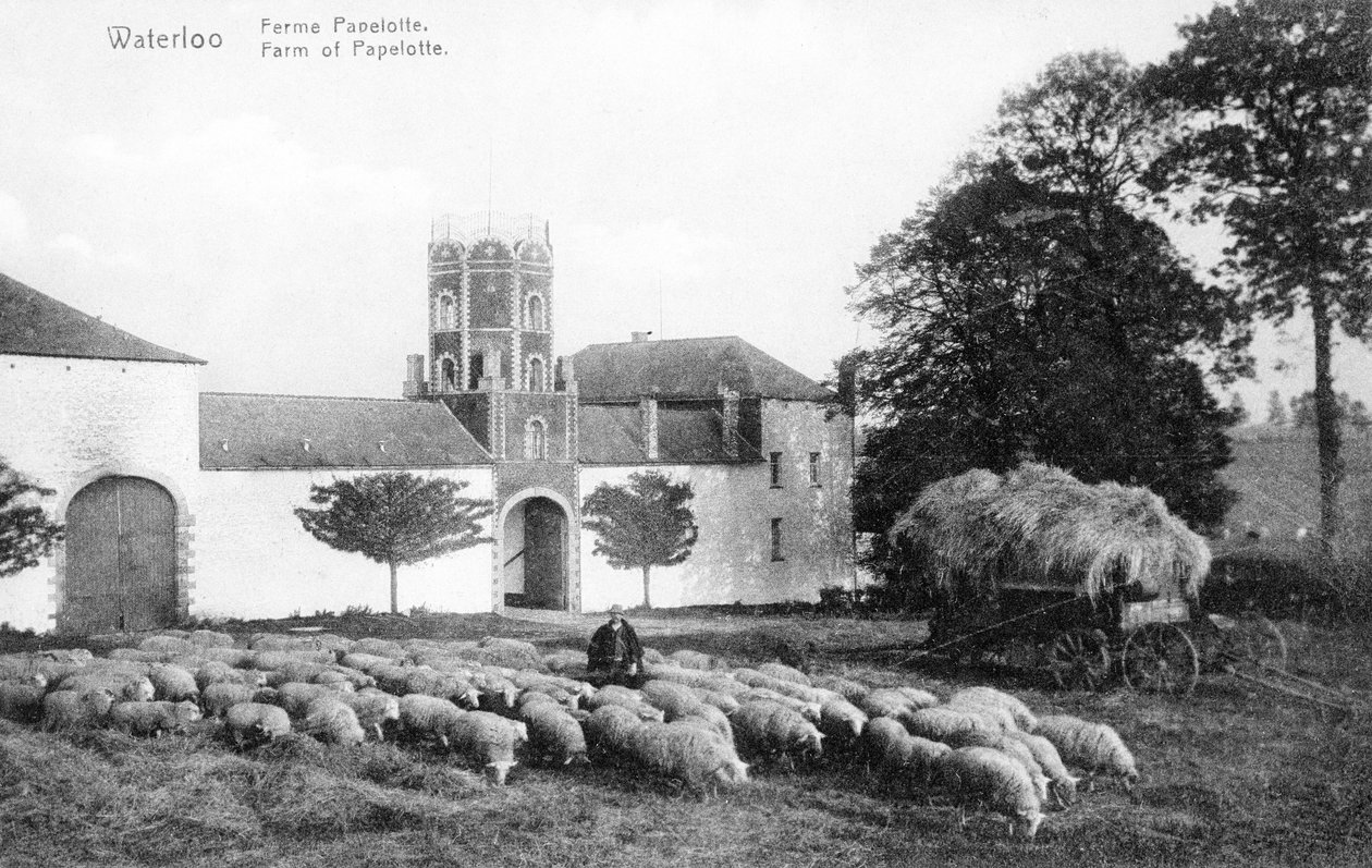 Bauernhof Papelotte, ein wichtiger strategischer Ort für Wellington während der Schlacht von Waterloo, Gedenkpostkarte, ca. 1912 (Fotolitho) von Belgian Photographer