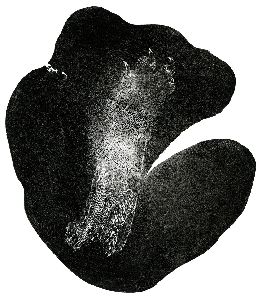 Klauenfuß, 2014 von Bella Larsson