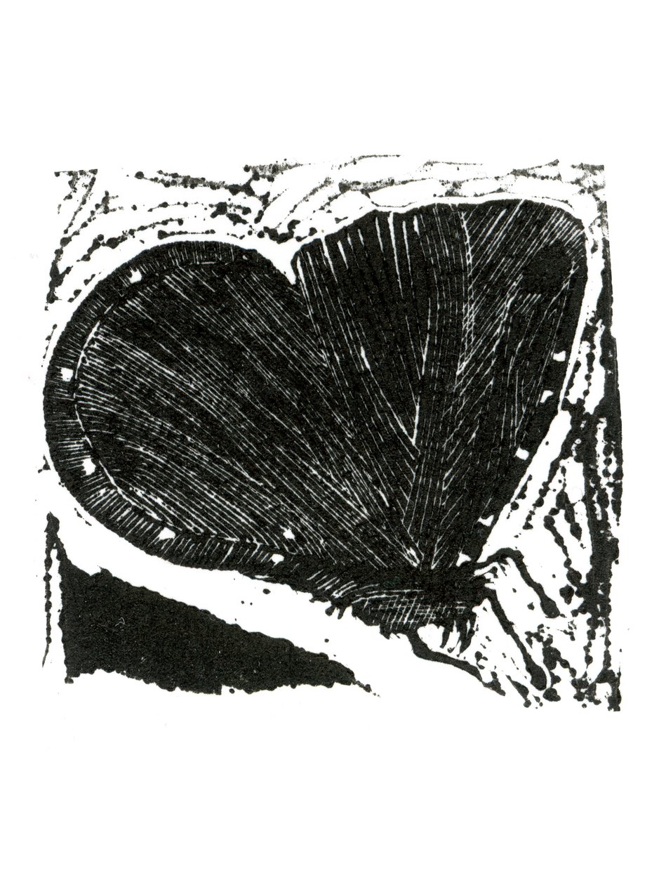 Dunkle Motte, 2013 von Bella Larsson