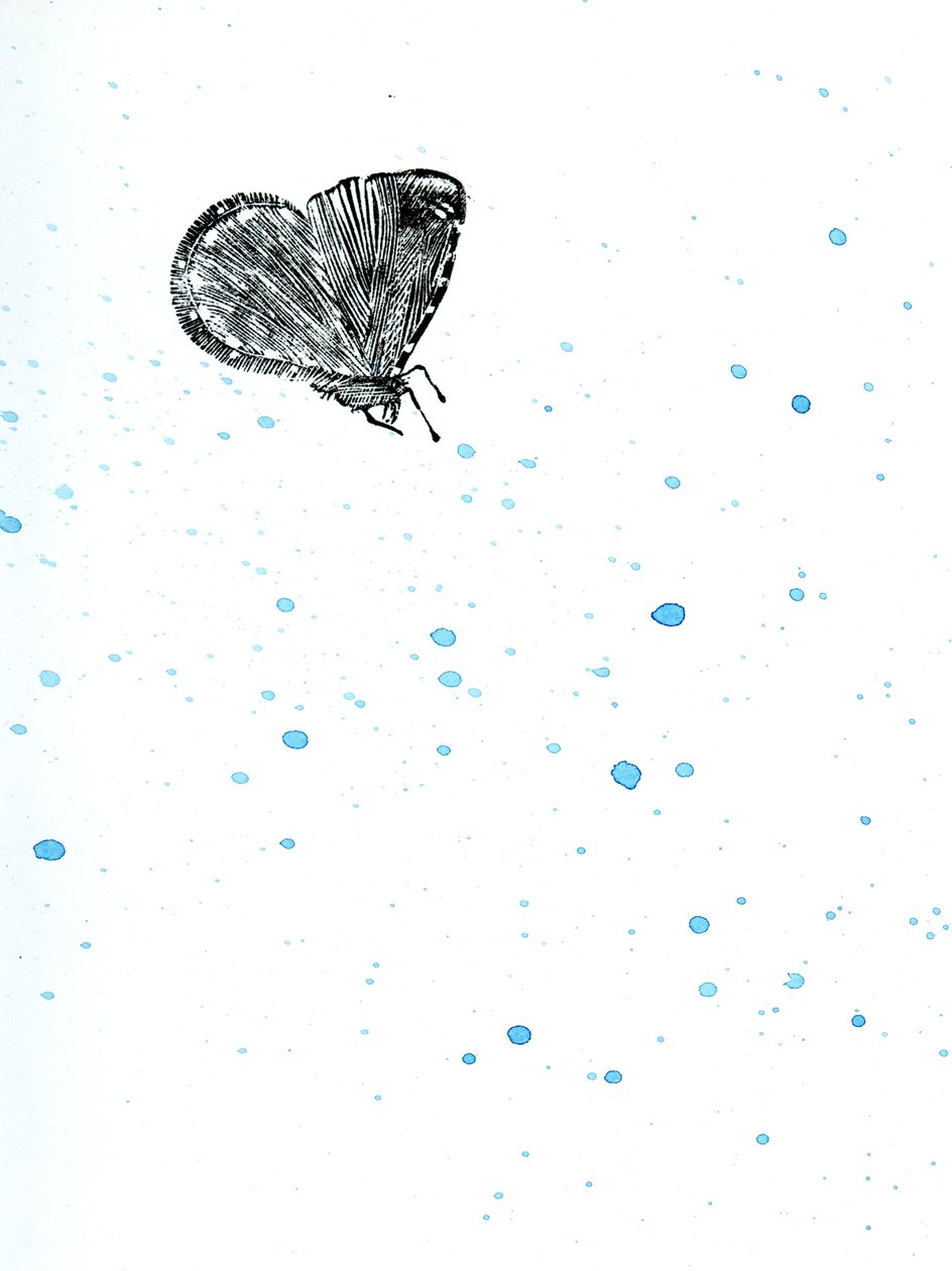 Motte {Fay-erie Dust}, 2014 von Bella Larsson
