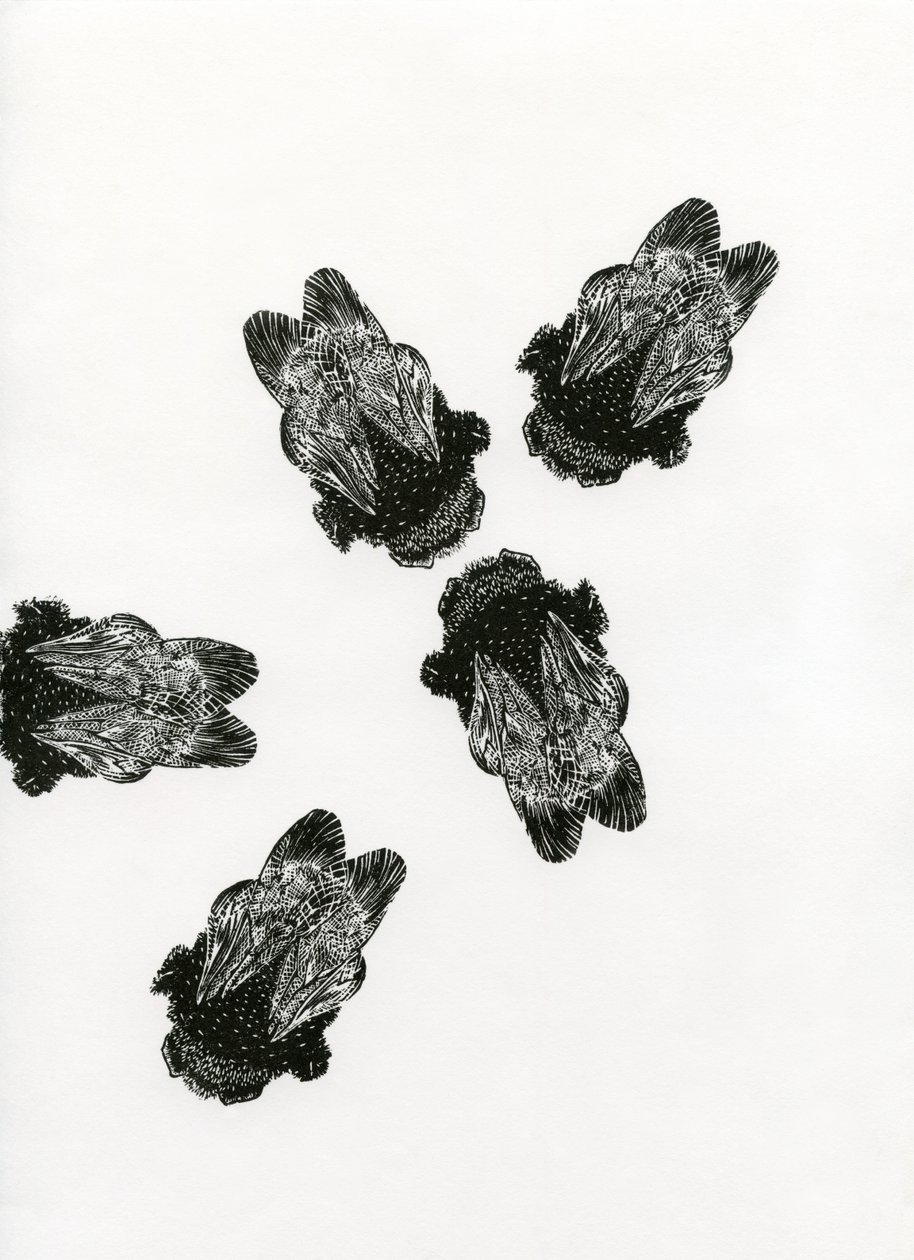 Treffen der Hummeln, 2013 von Bella Larsson
