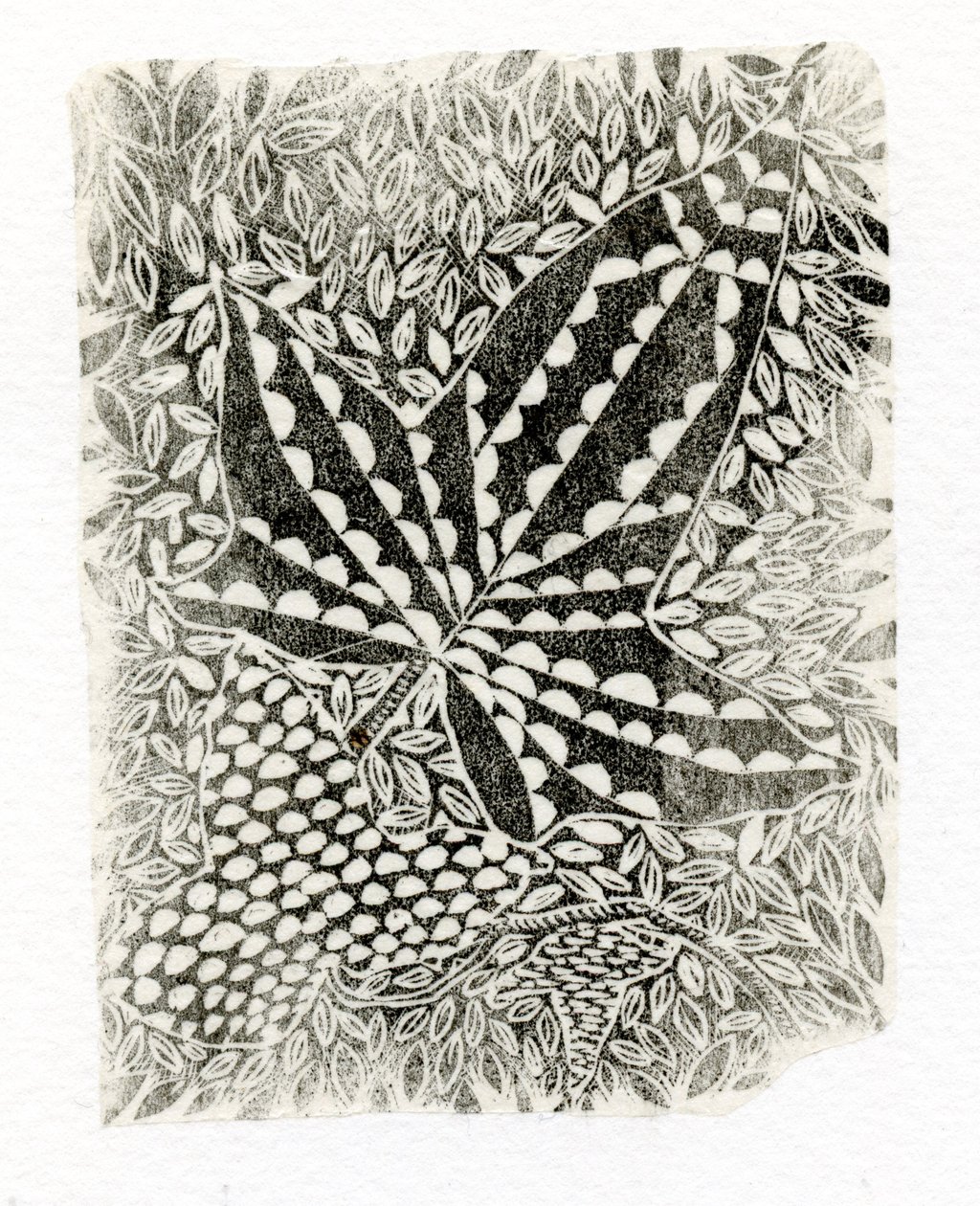 Efeu, 2014 von Bella Larsson
