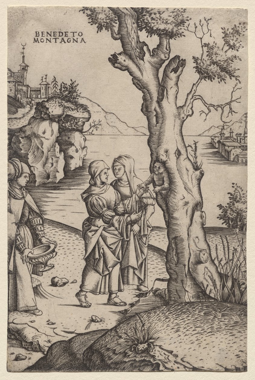 Geburt des Adonis (aus der Serie: Die Metamorphosen) von Benedetto Montagna