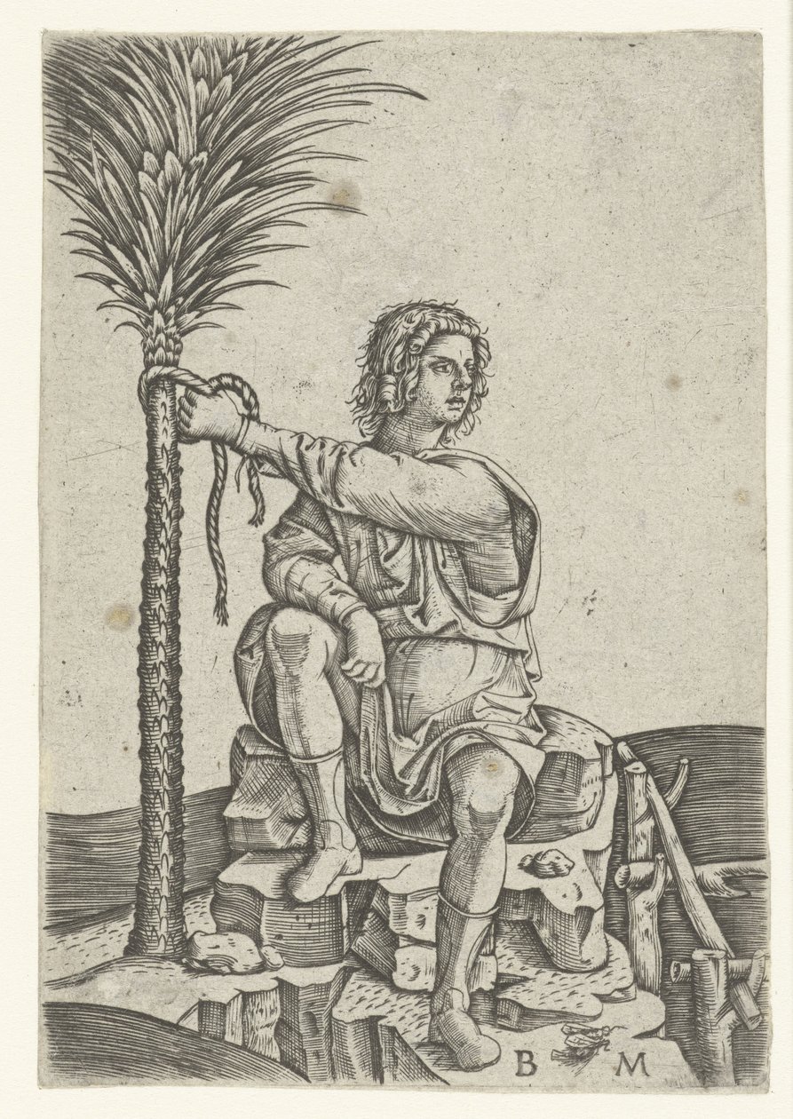 Mann sitzt bei einer Palme von Benedetto Montagna