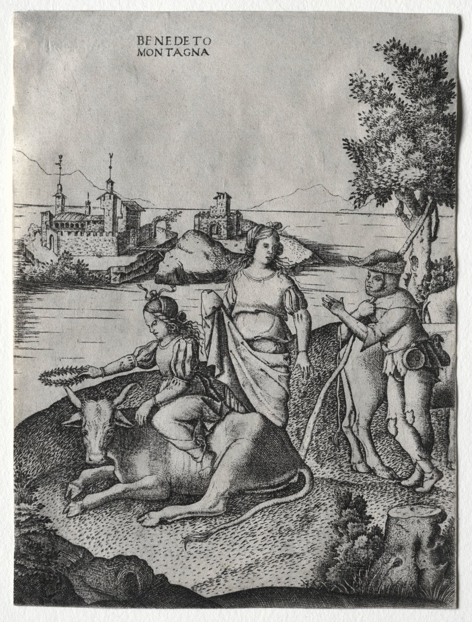 Raub der Europa, ca. 1515-1520 von Benedetto Montagna