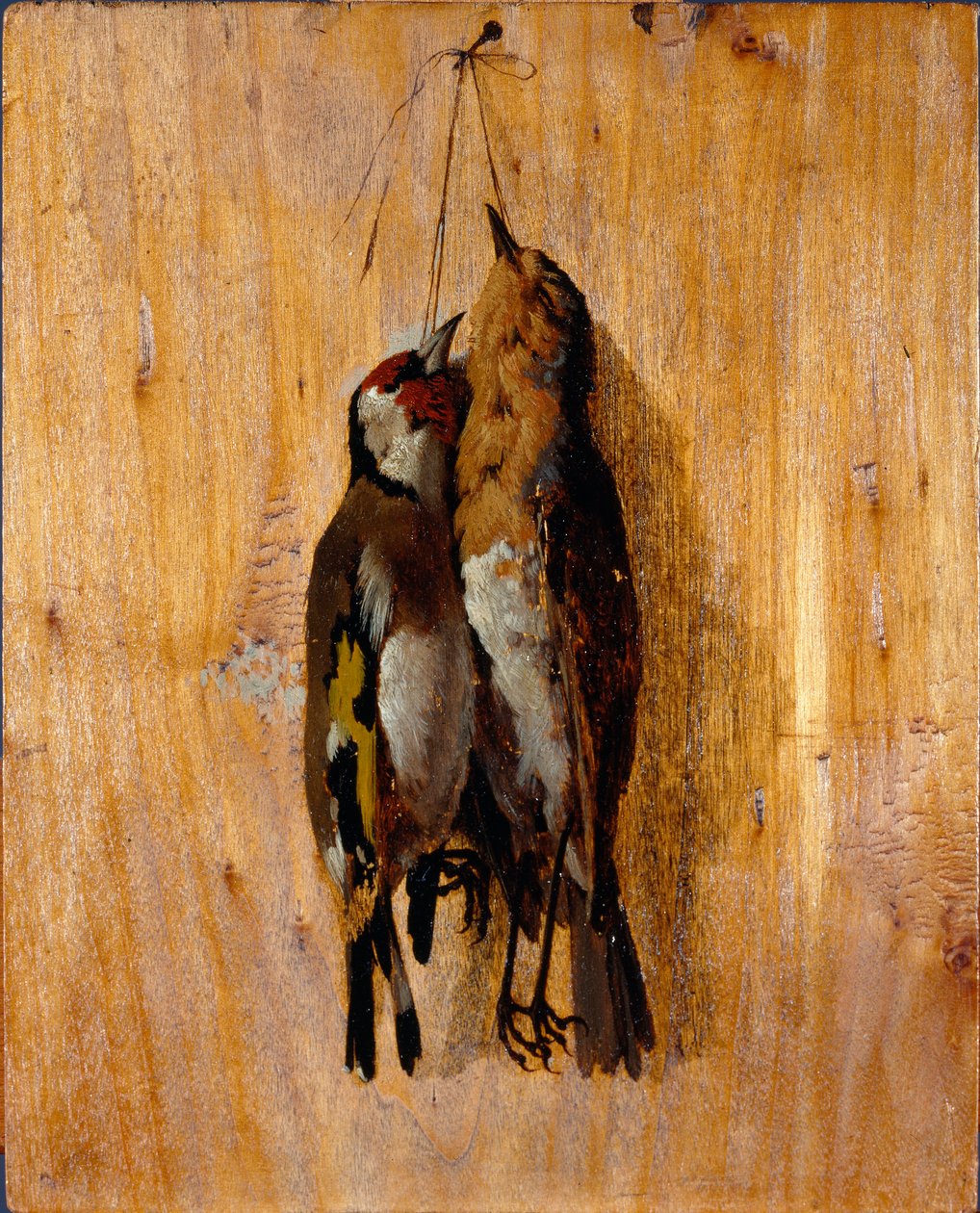 Studie nach der Natur: Zwei tote Vögel an der Wand von Benedetto Musso