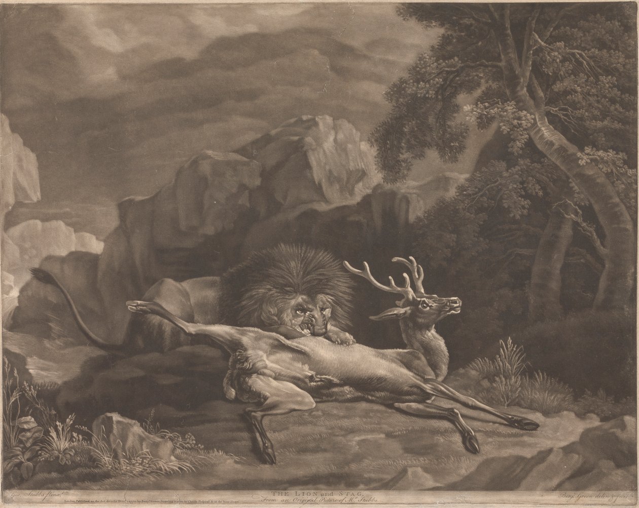 Der Löwe und der Hirsch von Benjamin Green