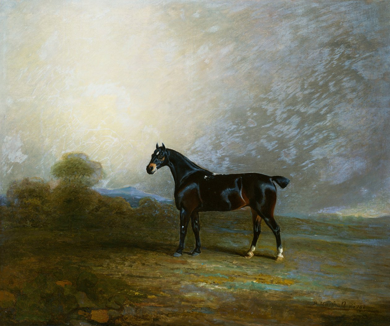 Bembo, ein Lieblingsjäger von Charles Shuttleworth, Esq., 1802 von Benjamin Marshall