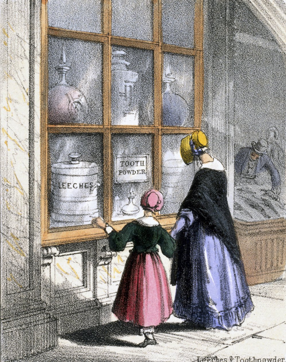 Blutegel und Zahnputzpulver, aus Krustentiere und Reptilien in Grafische Illustrationen von Tieren - Ihre Nützlichkeit für den Menschen während ihres Lebens und ihre Verwendung nach dem Tod, ca. 1845 von Benjamin Waterhouse Hawkins