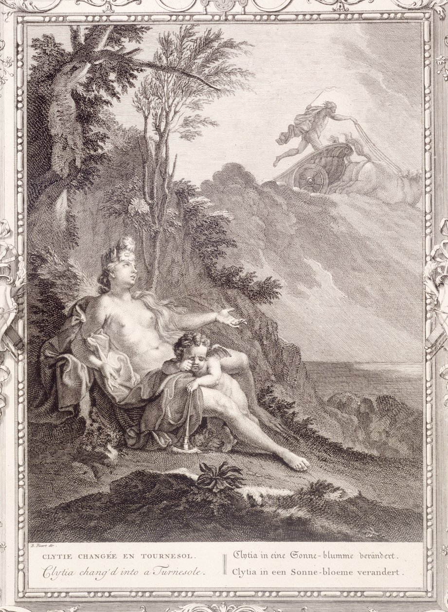 Clytia verwandelt sich in eine Sonnenblume, 1731 von Bernard Picart