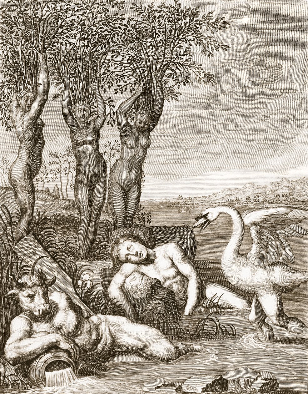 Cygnus verwandelt sich in einen Schwan und Phaetons Schwestern in Pappeln, 1731 von Bernard Picart