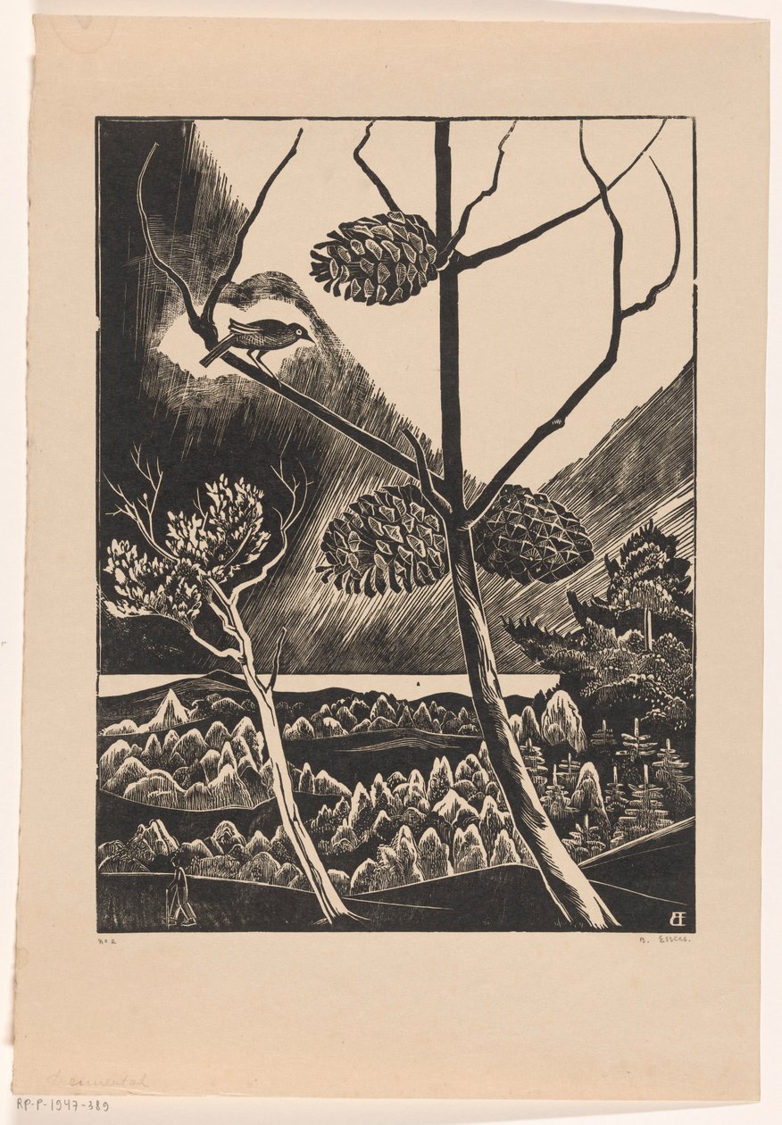 Kieferzweig von Bernard Essers (signed by artist)