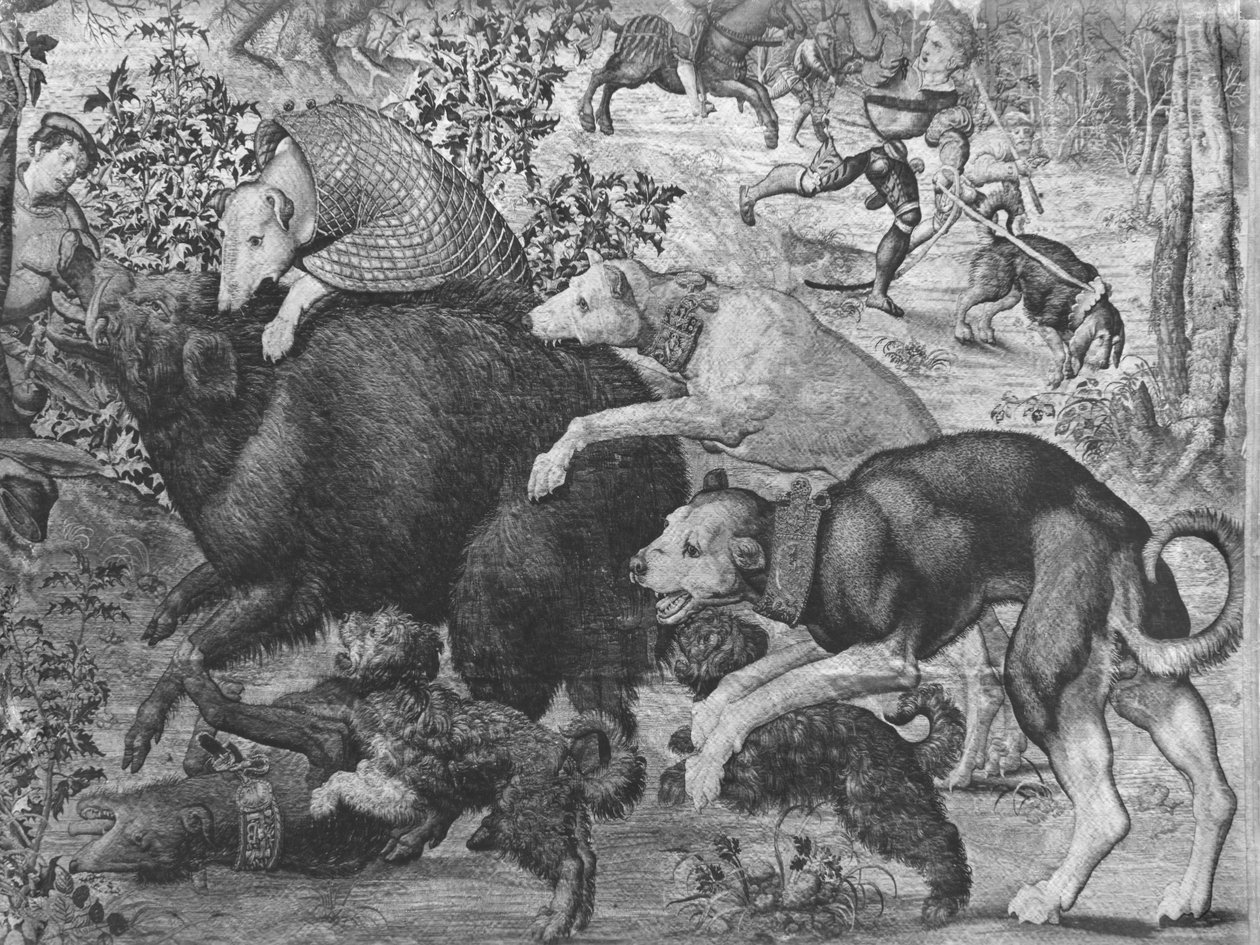 Die Jagden von Maximilian, Steinbock, Die Wildschweinjagd, Detail der Hunde, die das Wildschwein angreifen, Gobelins-Manufaktur von Bernard van Orley