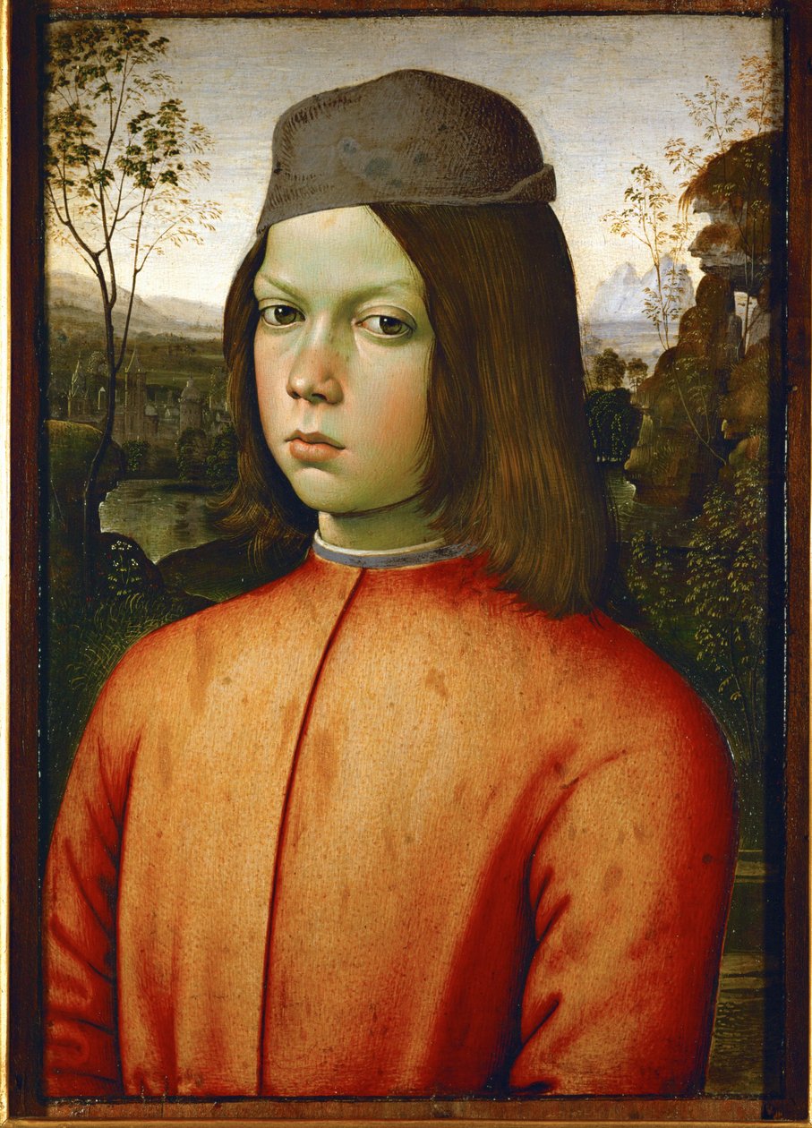Porträt eines jungen Jungen von Bernardino di Betto Pinturicchio