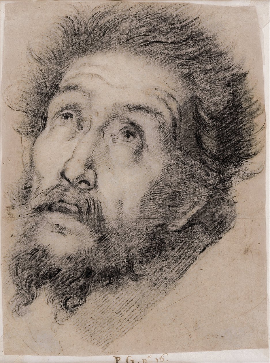Studie für den heiligen Franziskus von Assisi, der das Kreuz anbetet von Bernardo Strozzi