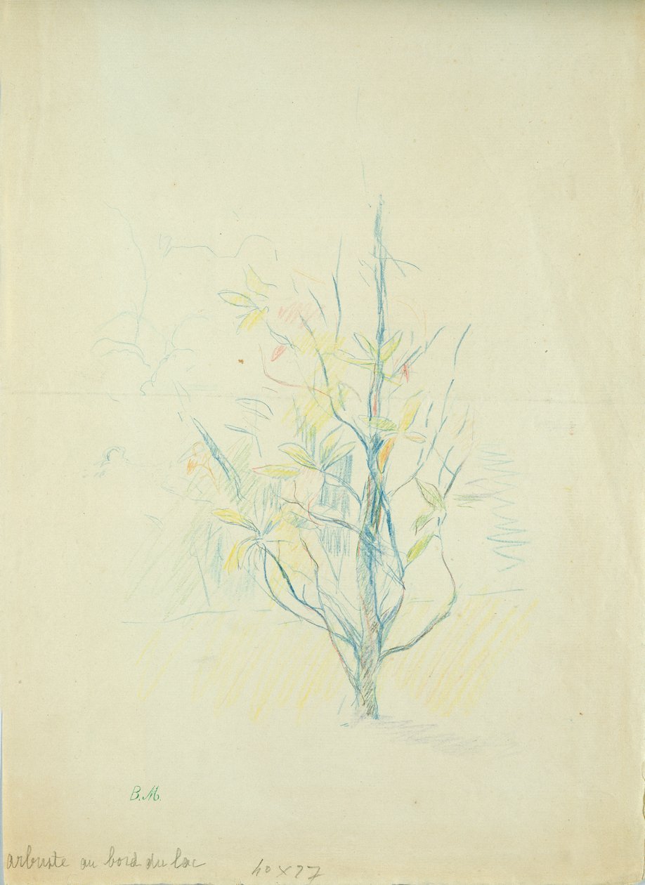 Büsche am See von Berthe Morisot