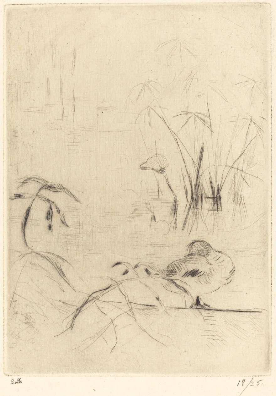 Enten ruhen am Ufer, 1888-1890 von Berthe Morisot
