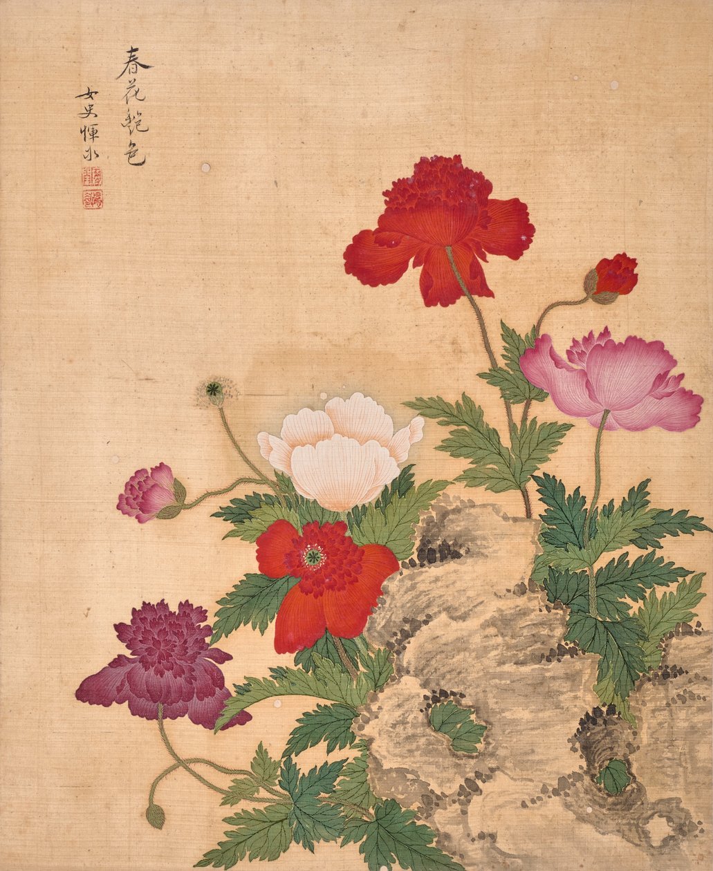 Album der Blumen (Tinte und Farbe auf Seide) von Bing Yun