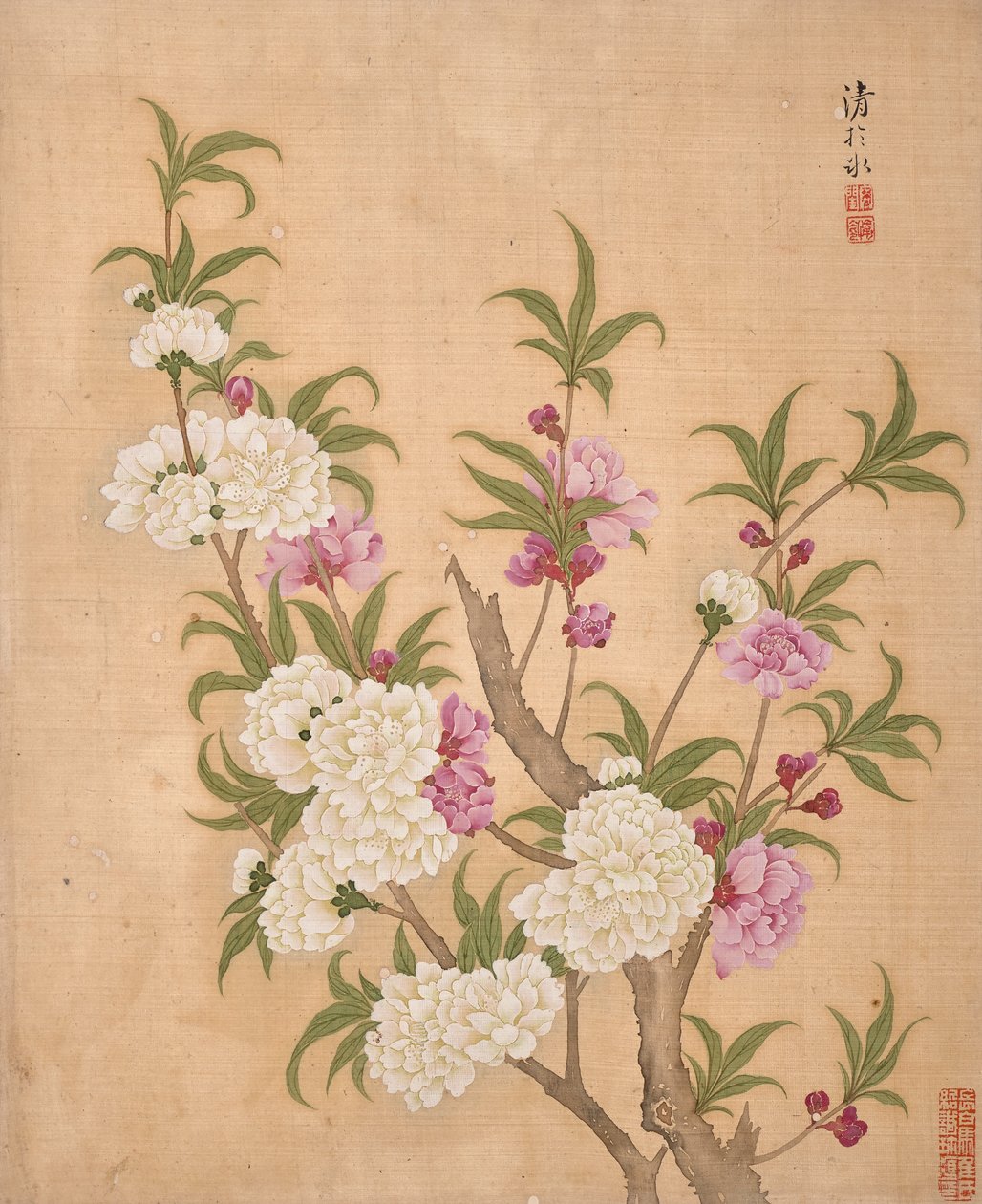 Album der Blumen von Bing Yun
