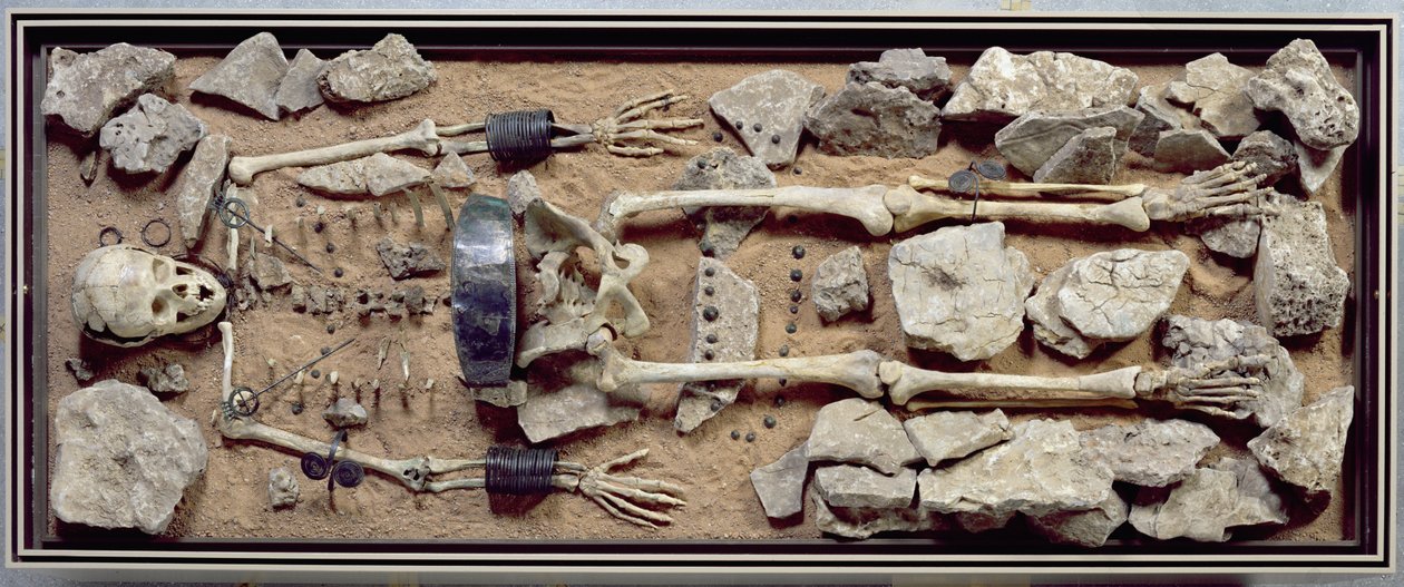 Reich ausgestattetes Frauengrab aus Molzbach bei Hünfeld von Bronze Age