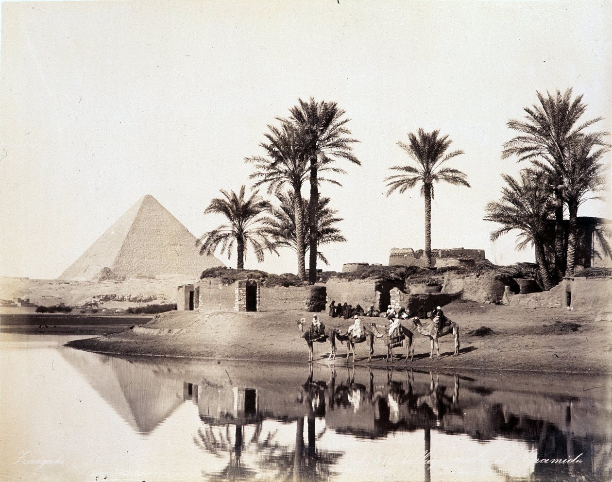 Kamele trinken am Fuße der Pyramiden von Ägypten - Fotografie der Zangali-Brüder, Ende des 19. Jahrhunderts von Brothers Zangaki