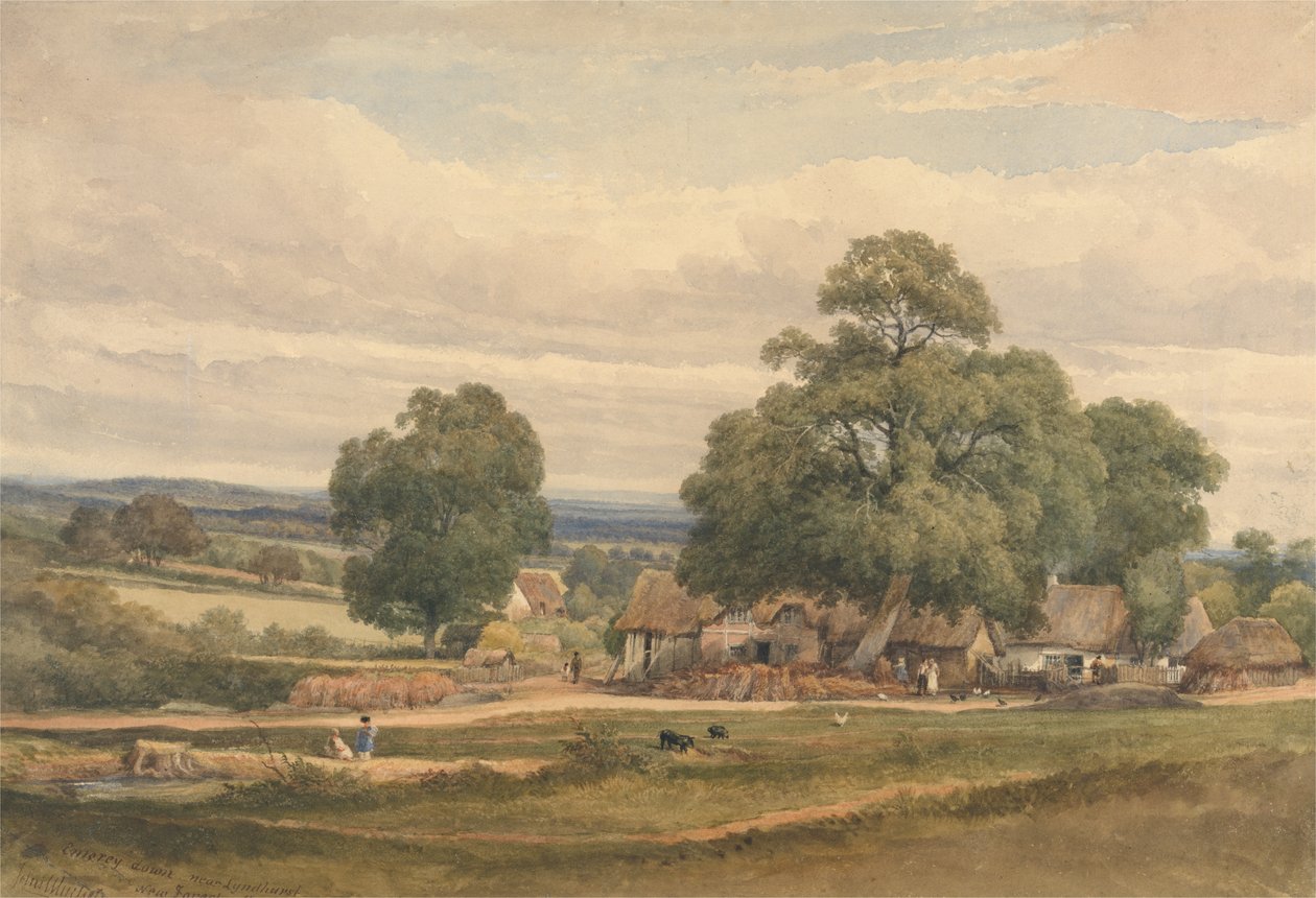 Emerey Down bei Lyndhurst, New Forest, Hants (Aquarell & Graphit auf Papier) von C. John Mayle Whichelo