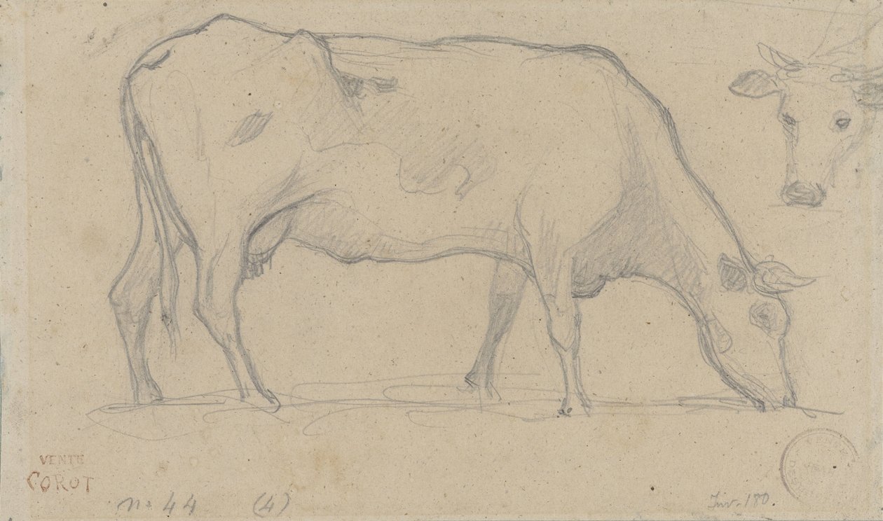 Weidende Kuh, rechts oben nochmals ein Kuhkopf von Camille Corot