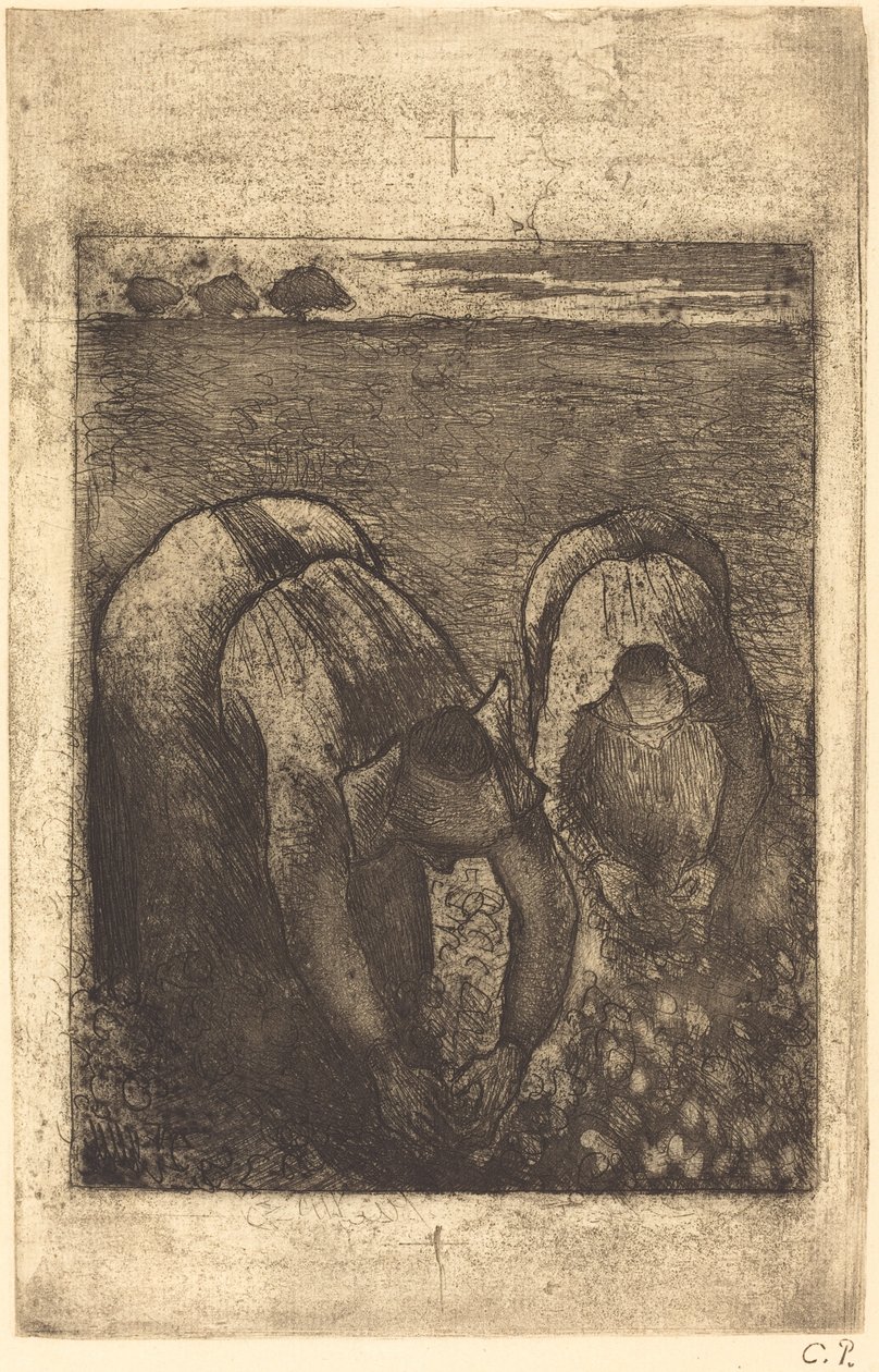Bauern in einem Bohnenfeld (Paysannes dans un champ de haricots) von Camille Pissarro