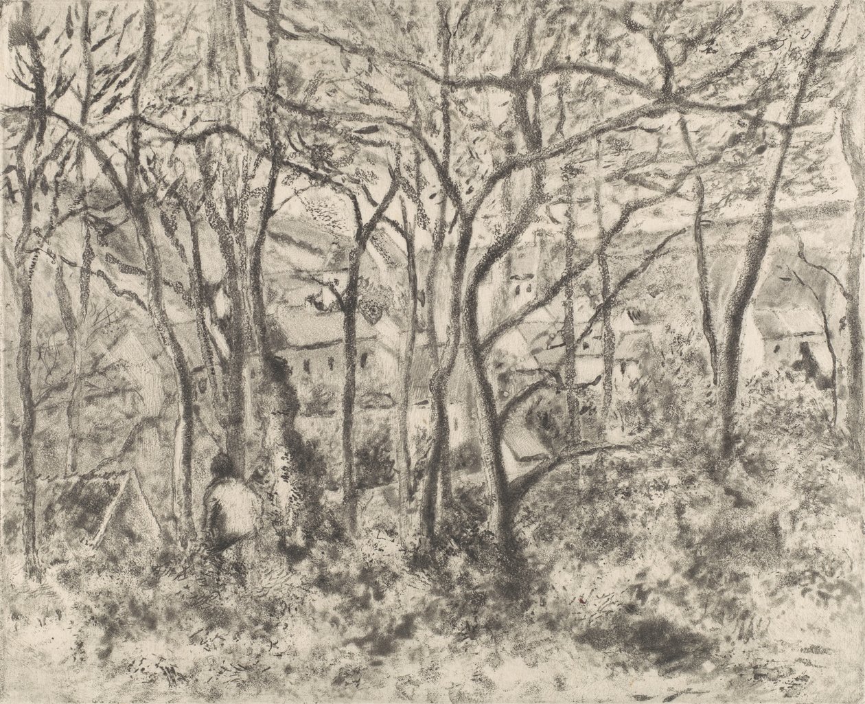 Die Wälder von L