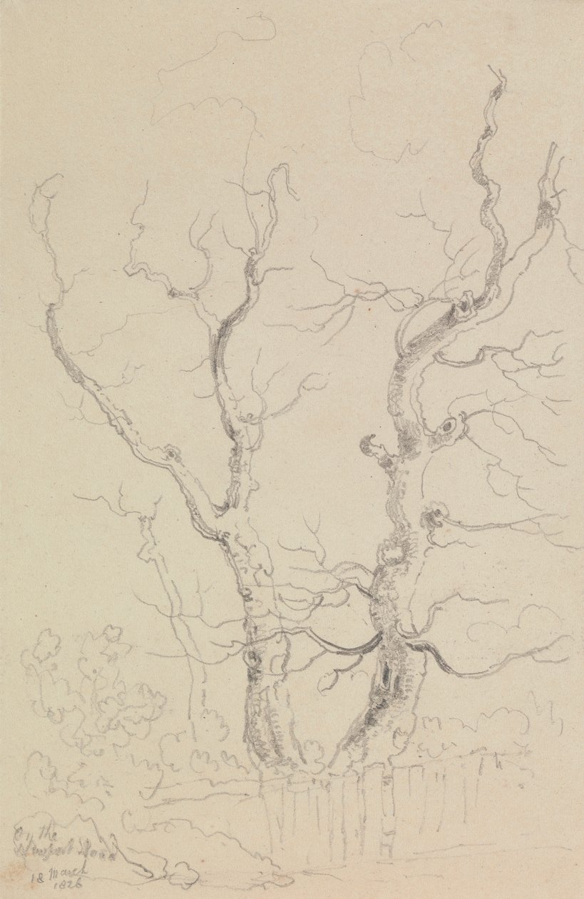 Auf der Newport Road, Isle of Wight von Capt. Thomas Hastings