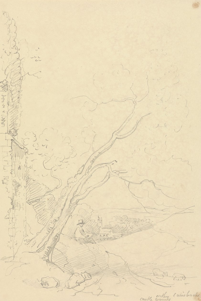 Innerhalb der Carisbrooke Castle Grounds, Isle of Wight von Capt. Thomas Hastings