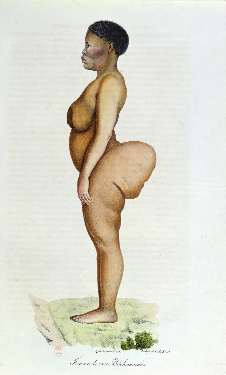Die Hottentotten-Venus, Buschfrau, aus 