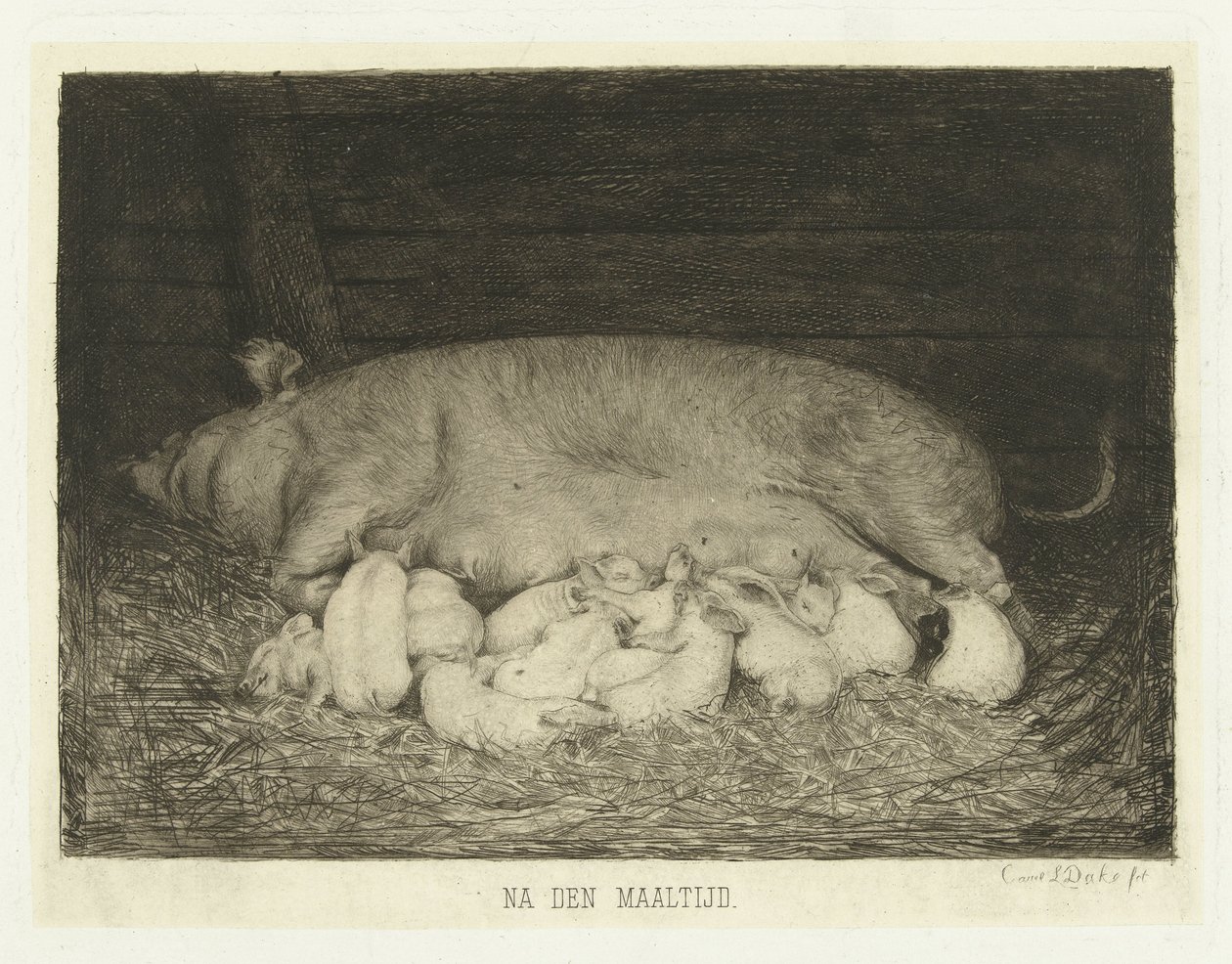 Sau mit Ferkeln liegend im Stall von Carel Lodewijk Dake
