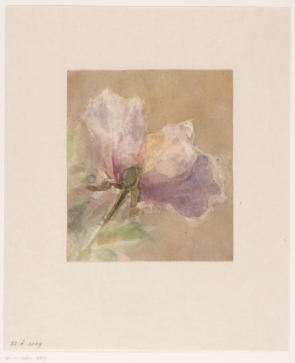 Verwelkte Rose von Carel Nicolaas Storm van 