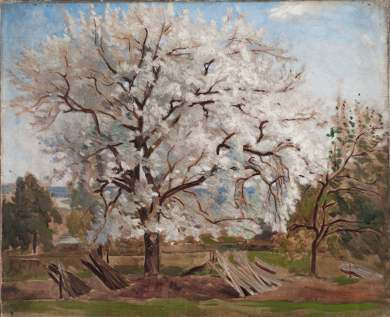 Apfelbaum in Blüte von Carl Fredrik Hill