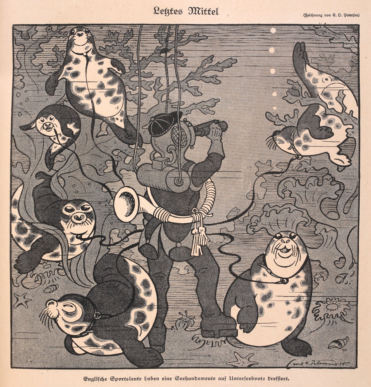 Letztes Mittel: Ein Taucher mit Robben; Unterwasserszene von Carl Olof Petersen